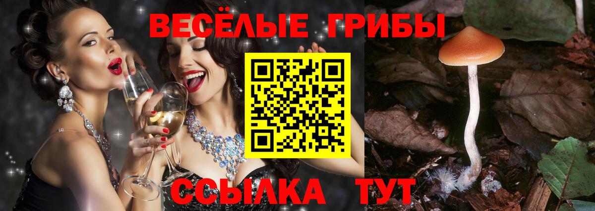 Галлюциногенные грибы Cubensis Донской