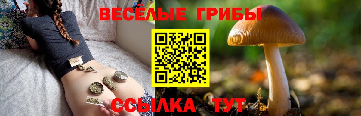 Донской  Галлюциногенные грибы мицелий  Галлюциногенные грибы прущие грибы  Вход с VPN 